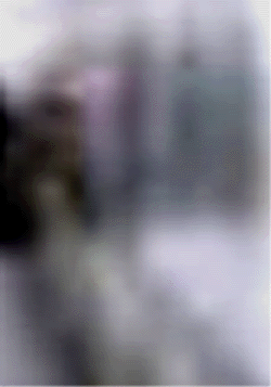 e0103408_824013.gif