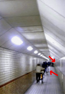 e0103408_824117.gif