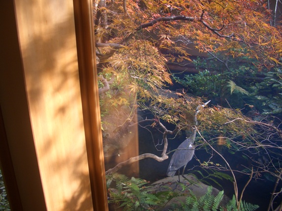 三ツ星料亭で朝食を・・・_e0033713_923811.jpg