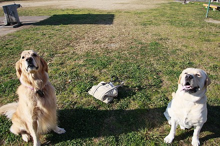 f0191413_11142012.jpg