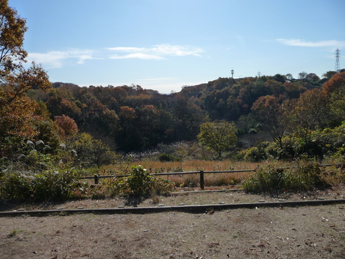 b0087914_103613.jpg
