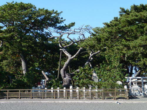 b0087914_1074674.jpg