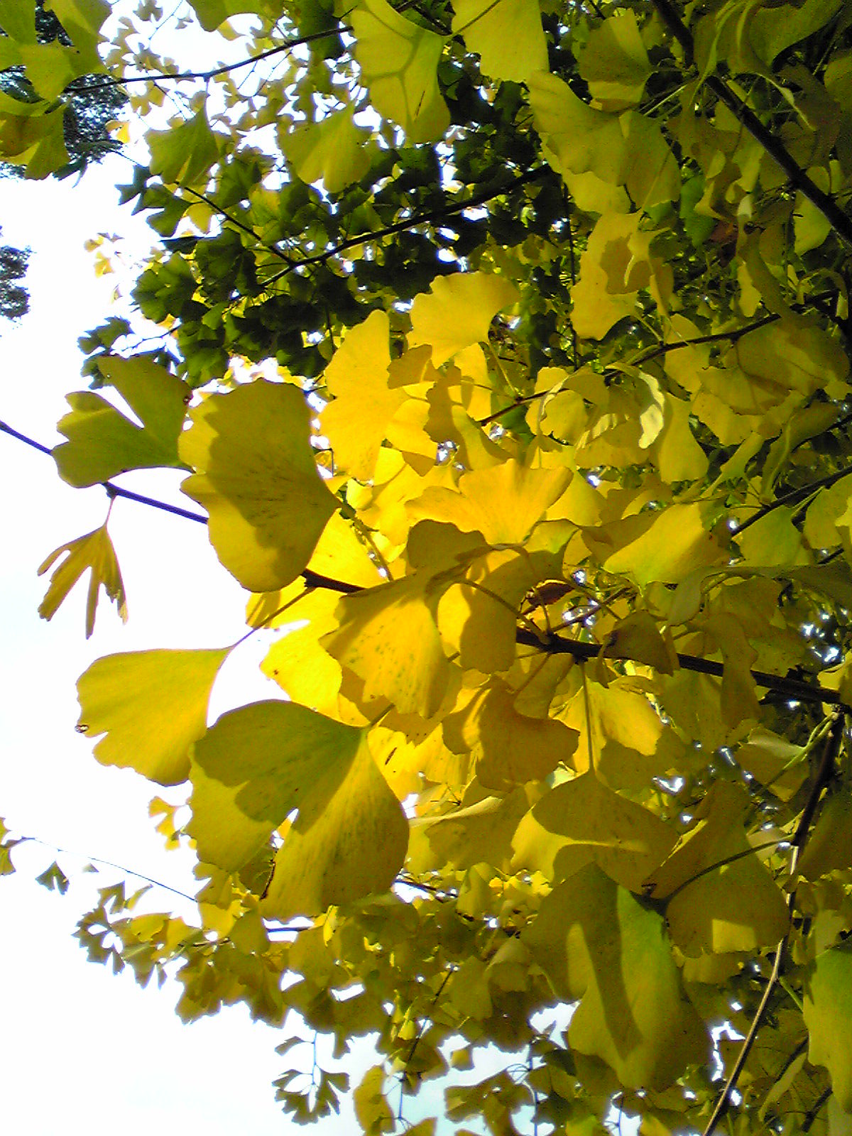 f0169215_23315525.jpg
