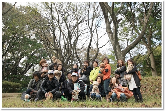 マザーウルフ　2010’秋の遠足@二度目の金沢自然公園へ行く♪　_e0191026_10302286.jpg