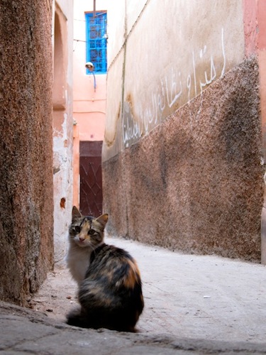 Dubai / Maroc 2010 (1)_d0010432_18161446.jpg