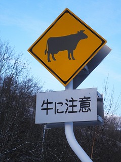 雪・雪・雪・・・_b0206037_11143890.jpg