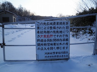 雪・雪・雪・・・_b0206037_1143527.jpg