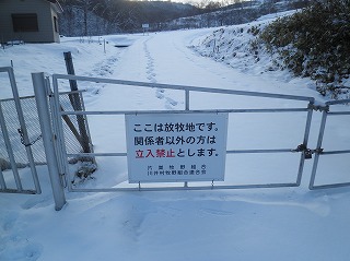 雪・雪・雪・・・_b0206037_1144569.jpg