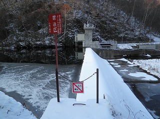 雪・雪・雪・・・_b0206037_1183825.jpg