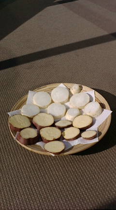 e0171737_10233393.jpg