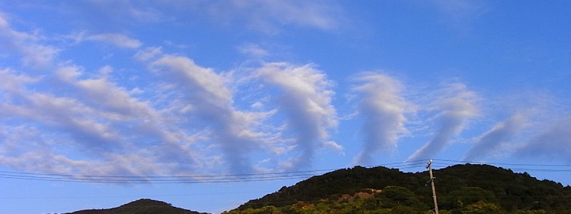 b0165444_11521182.jpg