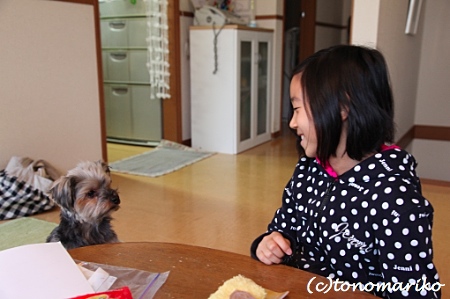 バブーうさぎのモコ_c0024345_183985.jpg