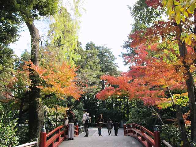 【鶴岡八幡宮の紅葉と大銀杏】_b0009849_1855779.jpg