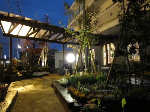 店舗完成_f0045052_15144755.jpg