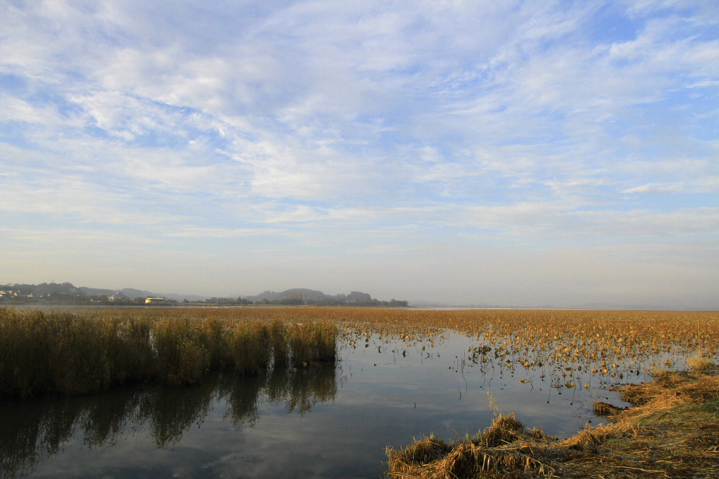 伊豆沼遠征：１日目　朝の景色_f0230458_1859376.jpg