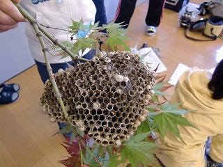 f0052059_1542359.jpg
