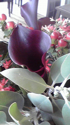 e0207360_15435643.jpg