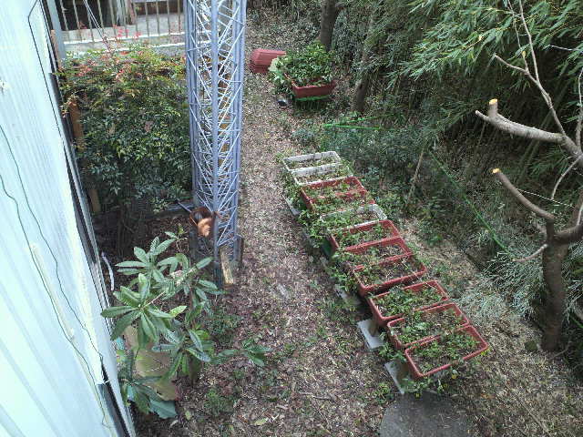 c0147261_2113132.jpg