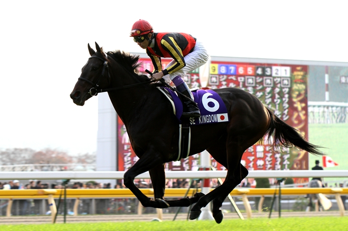 思わぬ結果 第30回ジャパンカップ 7冠馬シンボリルドルフ29歳の雄姿 Turfに魅せられて 写真紀行 思わぬ結果 第30回ジャパンカップ 7冠馬シンボリルドルフ29歳の雄姿 Turfに魅せられて 写真紀行