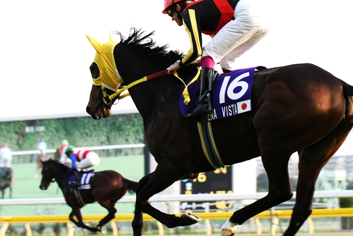 思わぬ結果 第30回ジャパンカップ 7冠馬シンボリルドルフ29歳の雄姿 Turfに魅せられて 写真紀行 思わぬ結果 第30回ジャパンカップ 7冠馬シンボリルドルフ29歳の雄姿 Turfに魅せられて 写真紀行