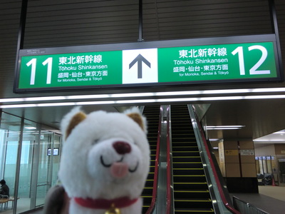 東北新幹線新青森駅開業３日前_f0236270_15235692.jpg