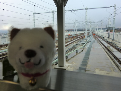 東北新幹線新青森駅開業3日前_f0236270_15244056.jpg