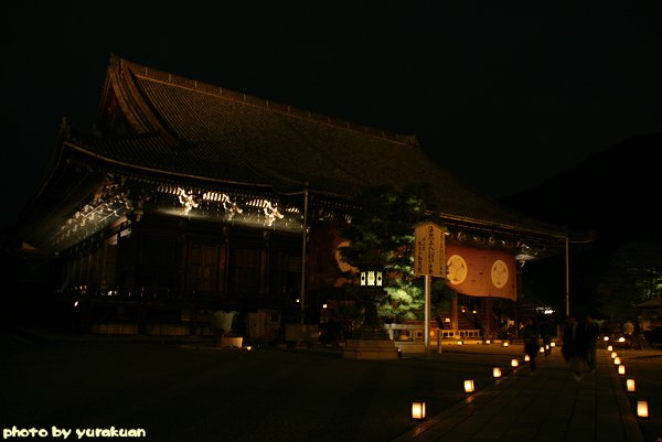 京都の紅葉 『夜の東山』 編・その４_d0030373_8184183.jpg