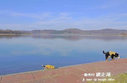 f0150377_193921100.jpg