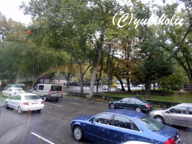f0062680_112467.jpg