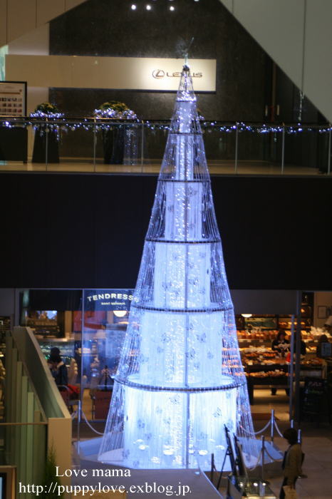 b0136683_16373160.jpg