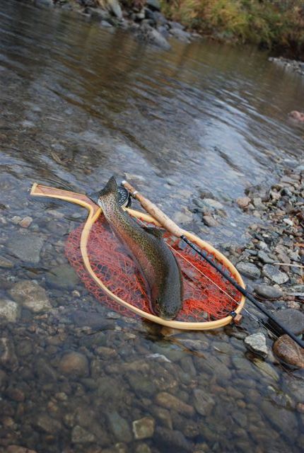 寒気団はオラの相棒か？荒雄最終釣行　１日目_d0164783_1001113.jpg