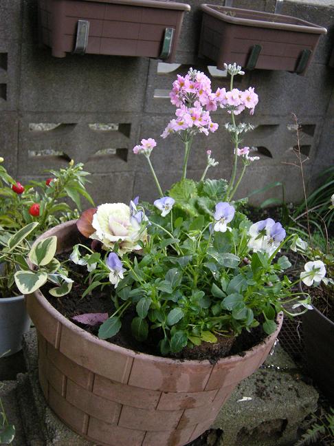 f0063887_05219.jpg