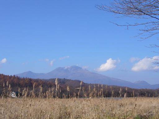 軽井沢　＜別荘地散策　土屋写真館　浅間山＞_b0134988_11441992.jpg