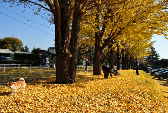 真っ赤だよ!_a0126590_5374930.jpg