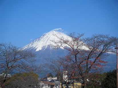 a0128290_1244298.jpg