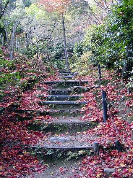 嵯峨野紅葉めぐり その3_c0057390_19441118.jpg