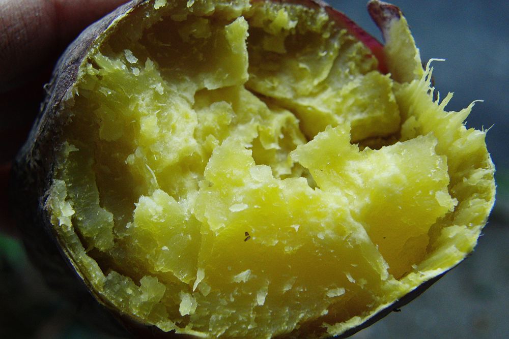 a0152692_19431797.jpg