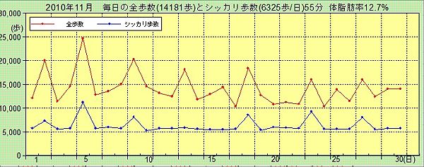 11月の歩数_a0152692_8483939.jpg