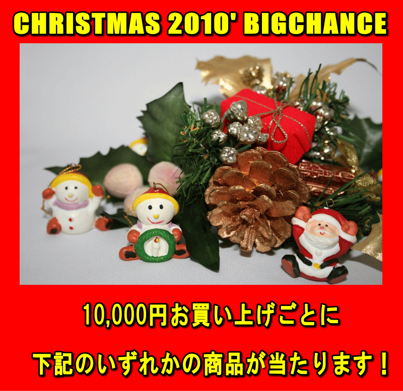 2010年金栄堂クリスマスキャンペーン12月25日まで！_c0003493_210123.gif