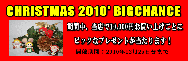 2010年金栄堂クリスマスキャンペーン12月25日まで!_c0003493_2151992.gif