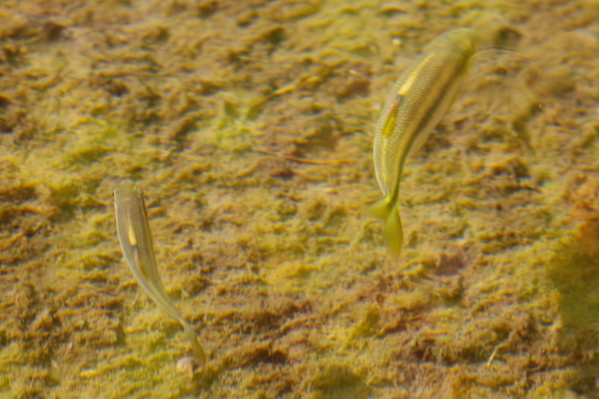 d0133693_23324937.jpg