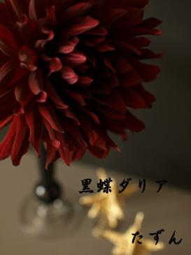 結婚記念日♪ #14_d0144095_23331631.jpg