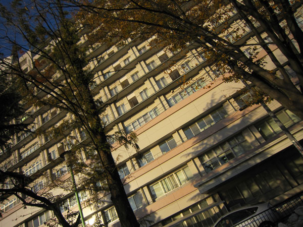 c0117597_2346645.jpg