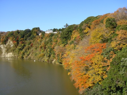 亀山湖の紅葉_a0167803_14242799.jpg