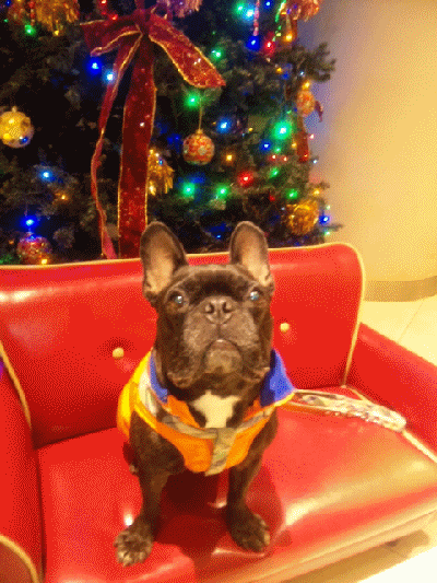 a0149304_21194617.gif