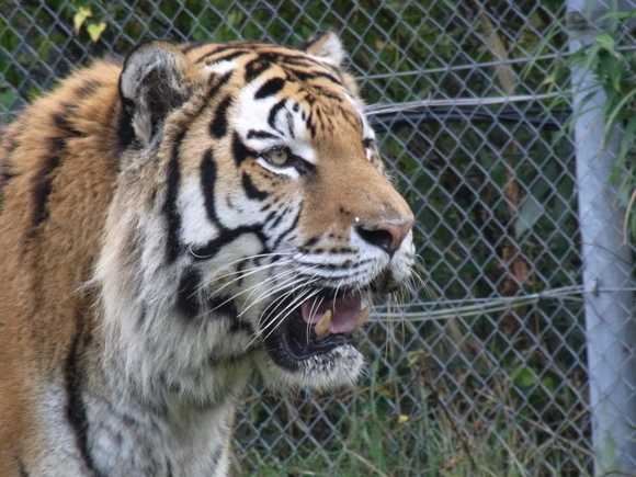 c0006904_13304937.jpg