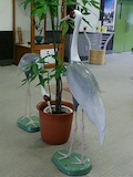 c0052304_5293767.jpg