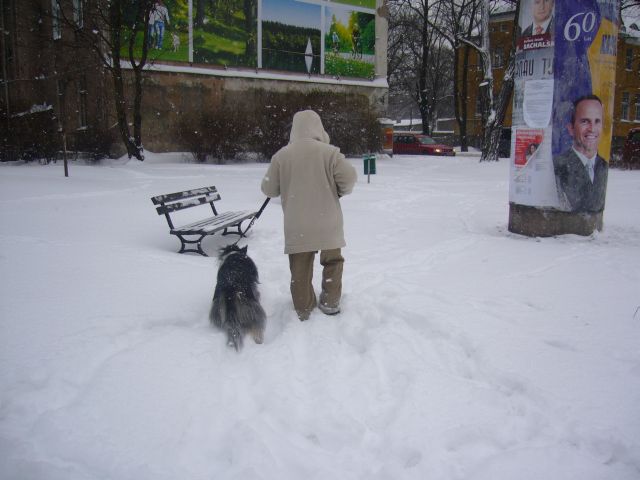 e0039206_23411960.jpg