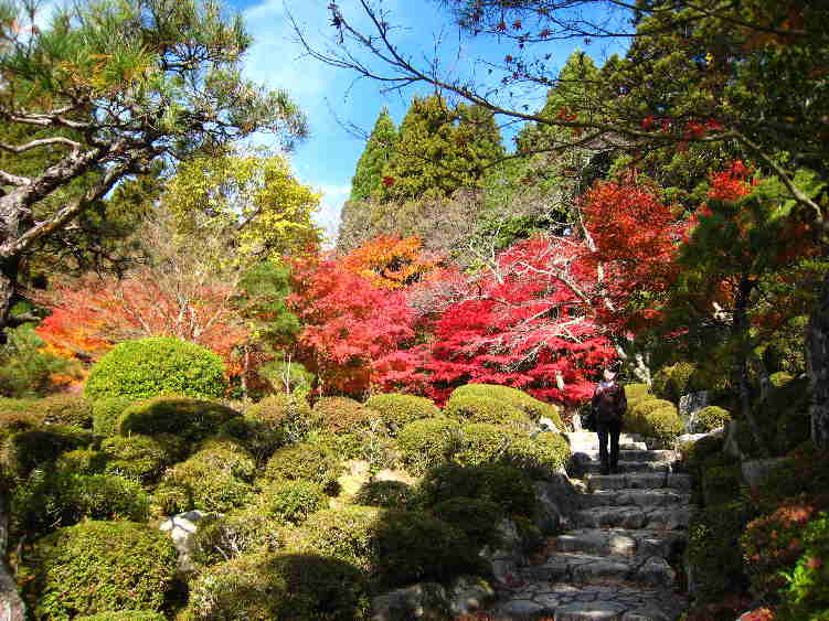 紅葉の湖東三山の旅_d0154609_152426.jpg