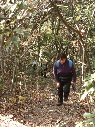 f0219710_7441694.jpg